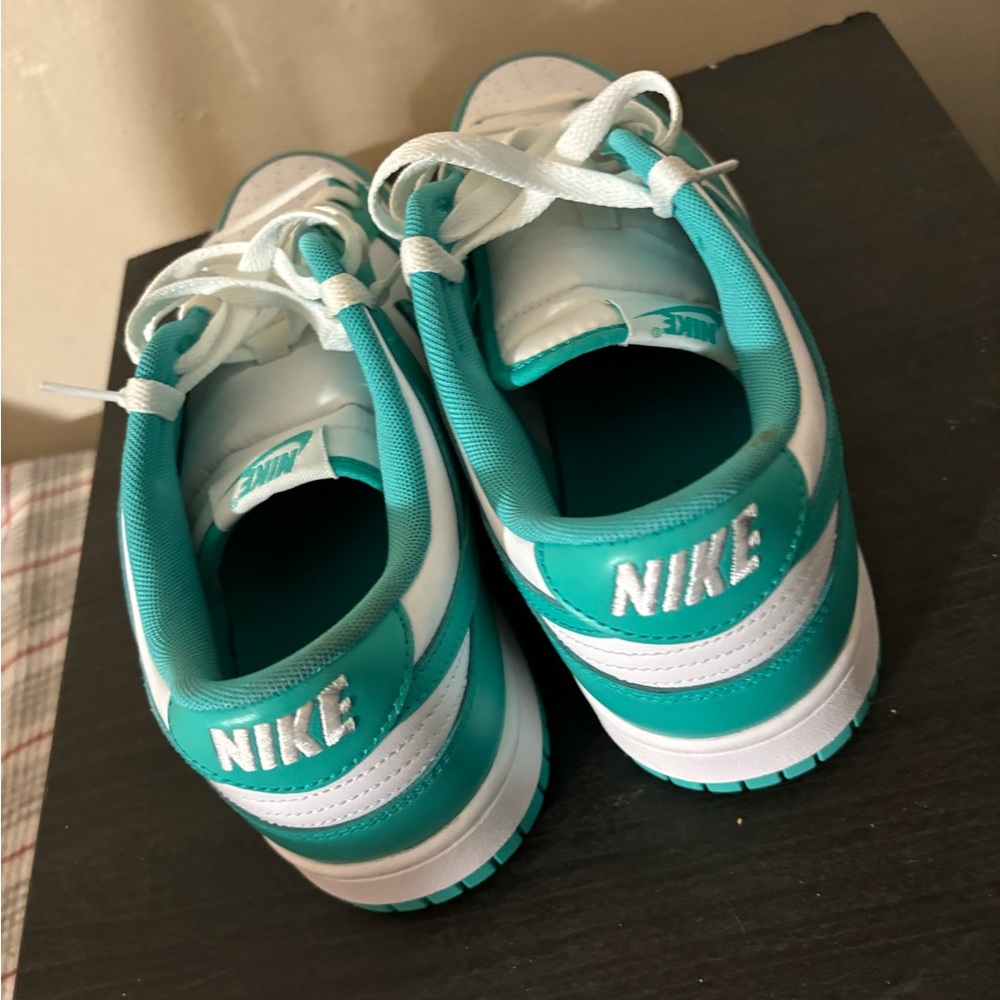 Nike dunk low? “Clearly Jade”Men’s size10.5/women’s size 12
